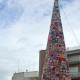 ostuni albero