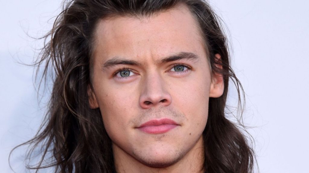 harry styles