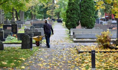 cimitero roma denti