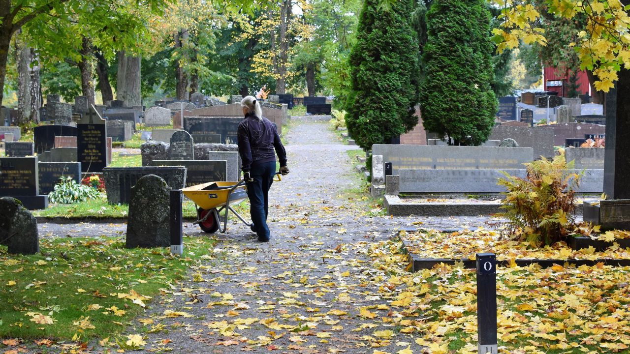 cimitero roma denti