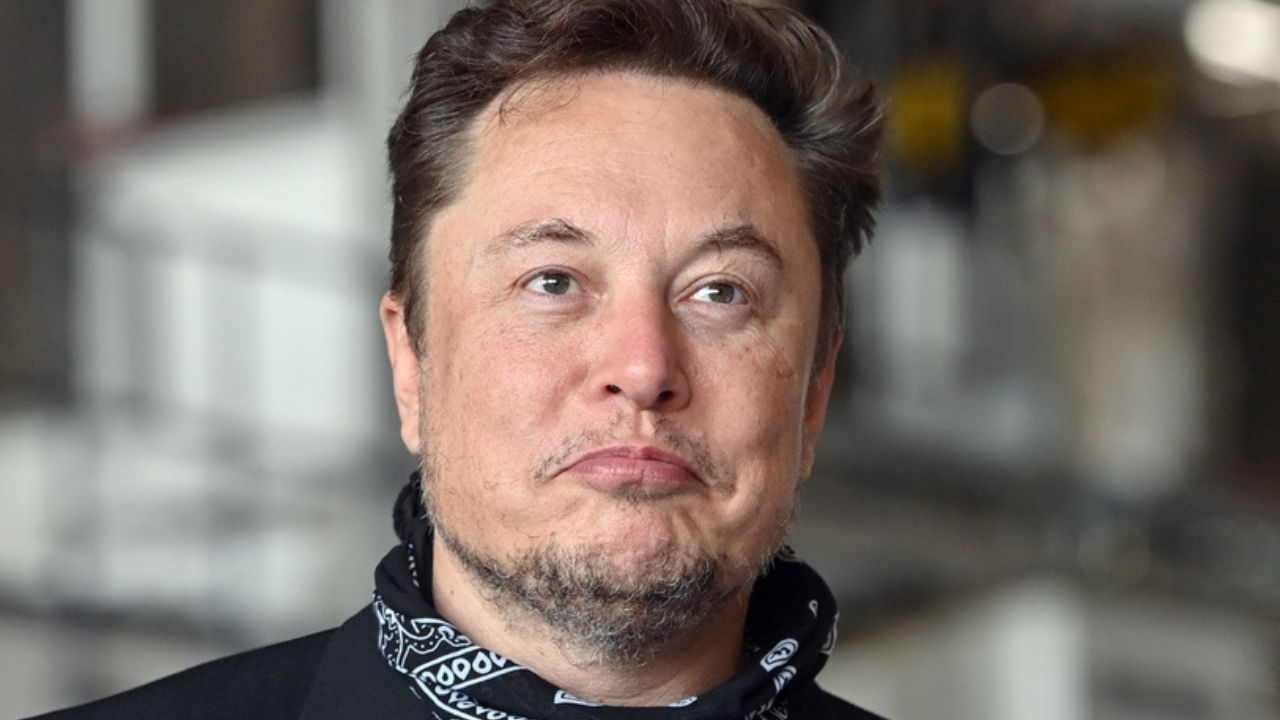 Elon Musk mamma