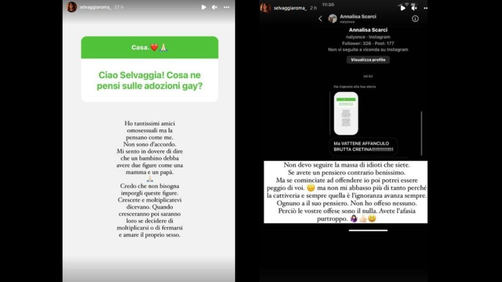 selvaggia roma adozioni gay
