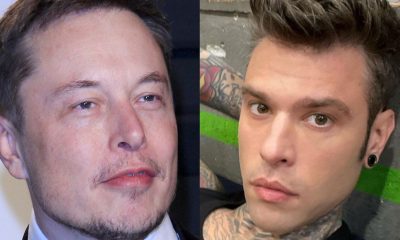 elon musk fedez