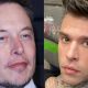 elon musk fedez