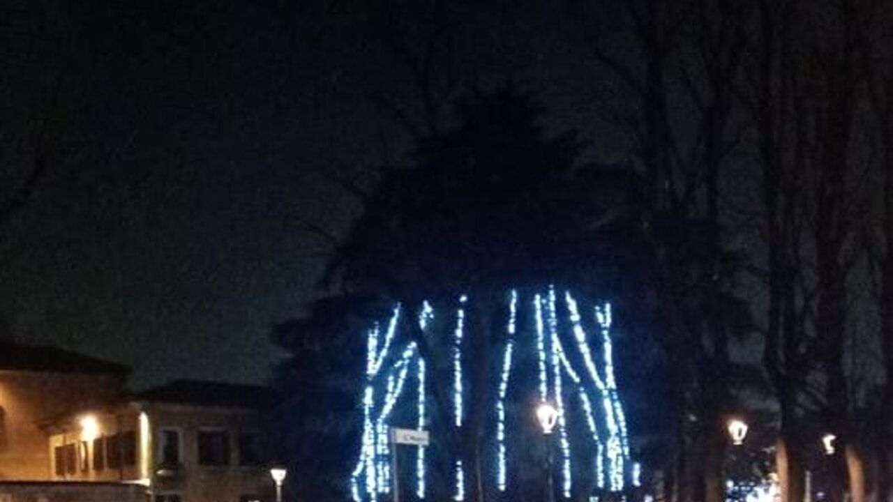 albero natale più brutto del mondo