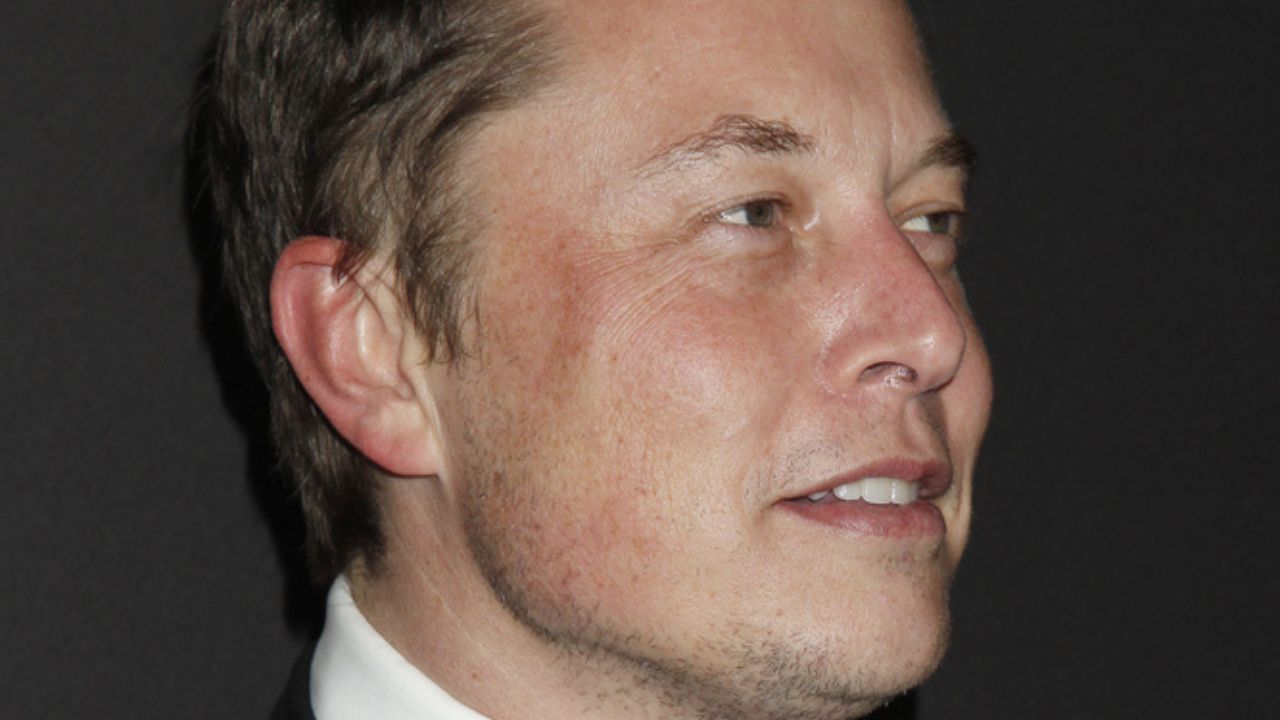 elon musk donna ufficio