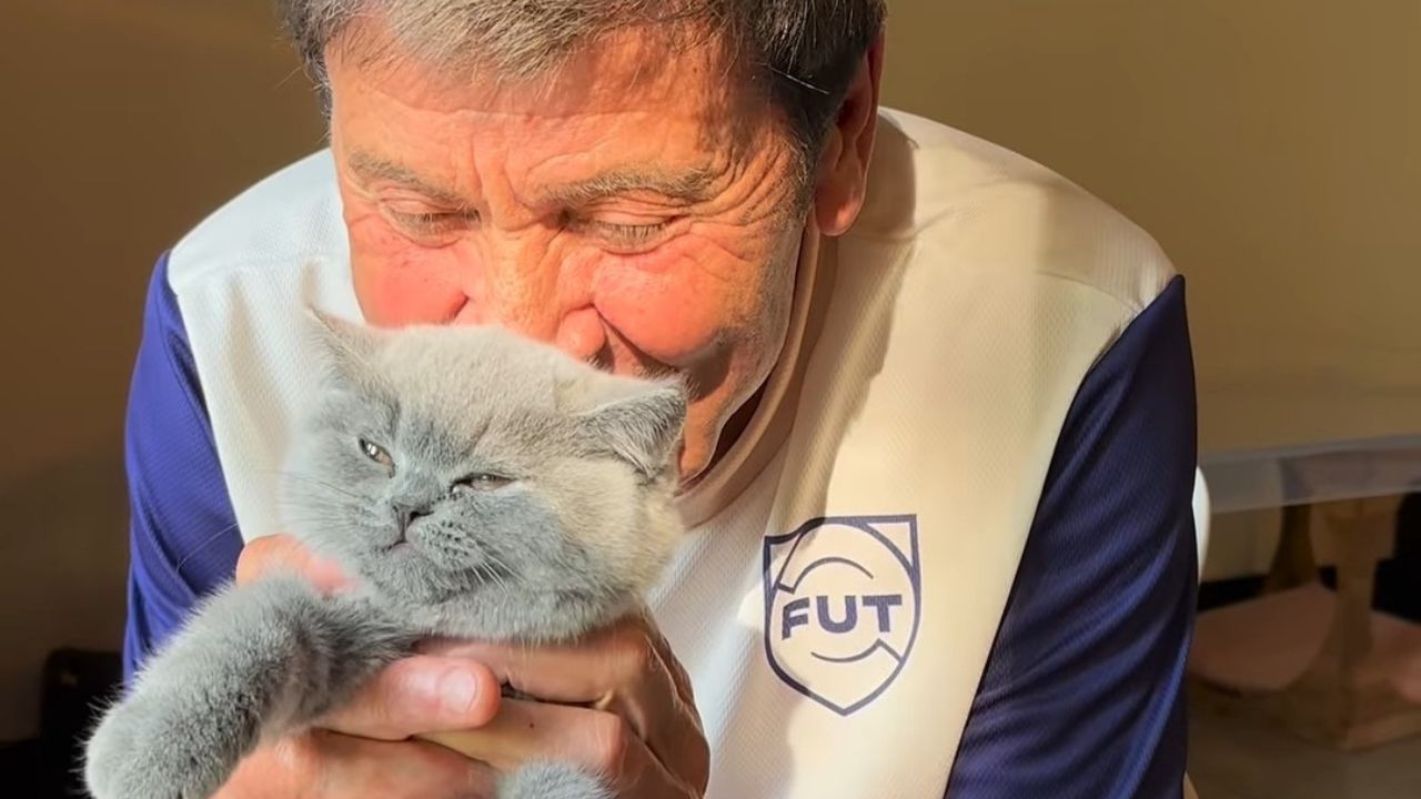 gatto gianni morandi