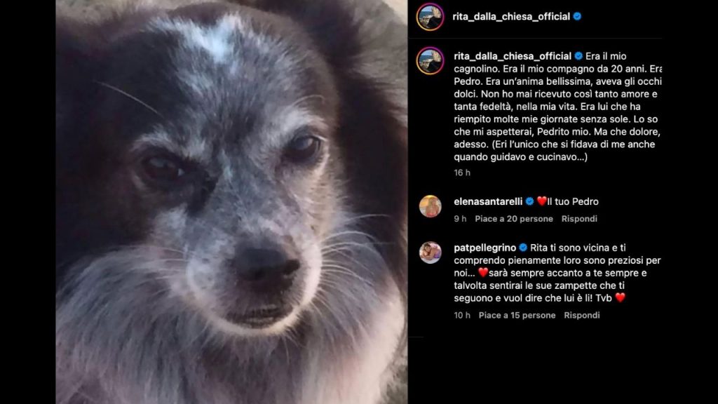 rita dalla chiesa cane