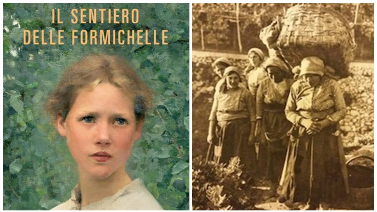 il sentiero delle formichelle libro