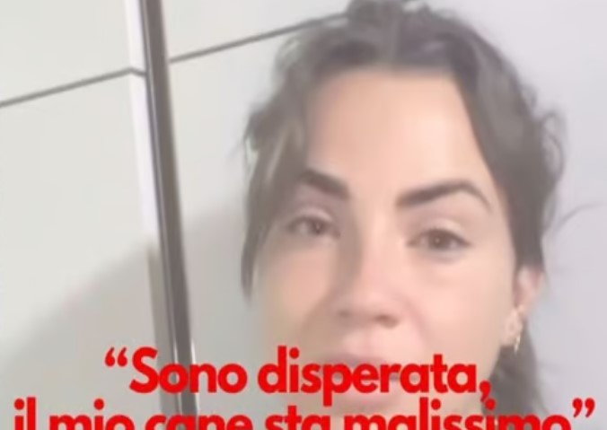 eleonora rocchini chiede aiuto ai fans